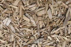 biomass boilers Freckleton